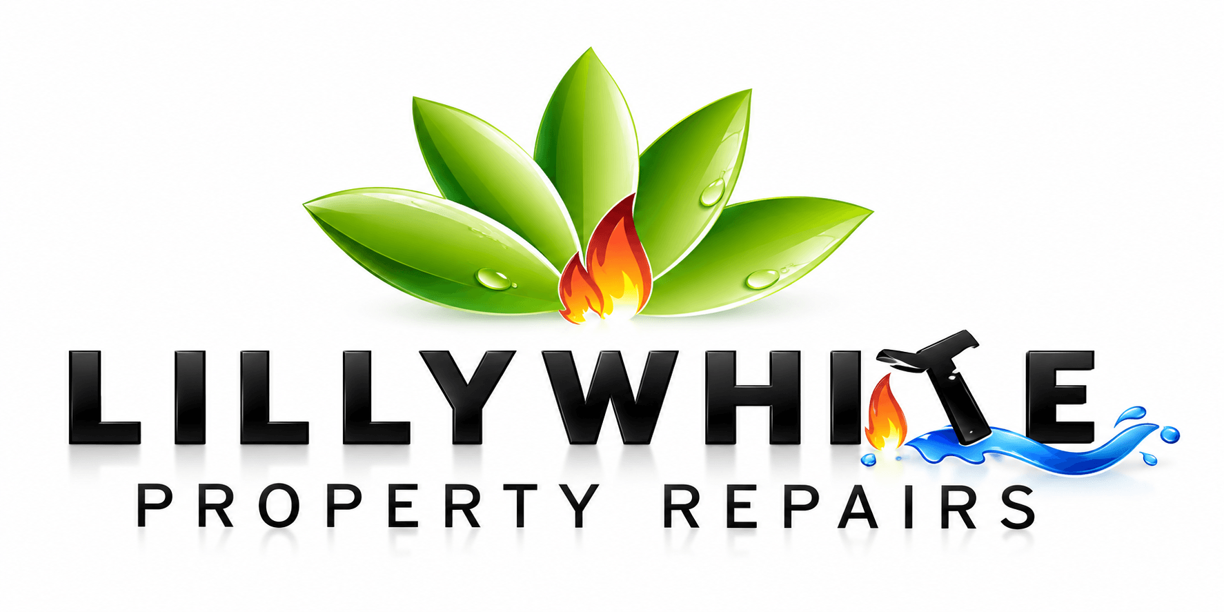 Lillywhite Property Repairs